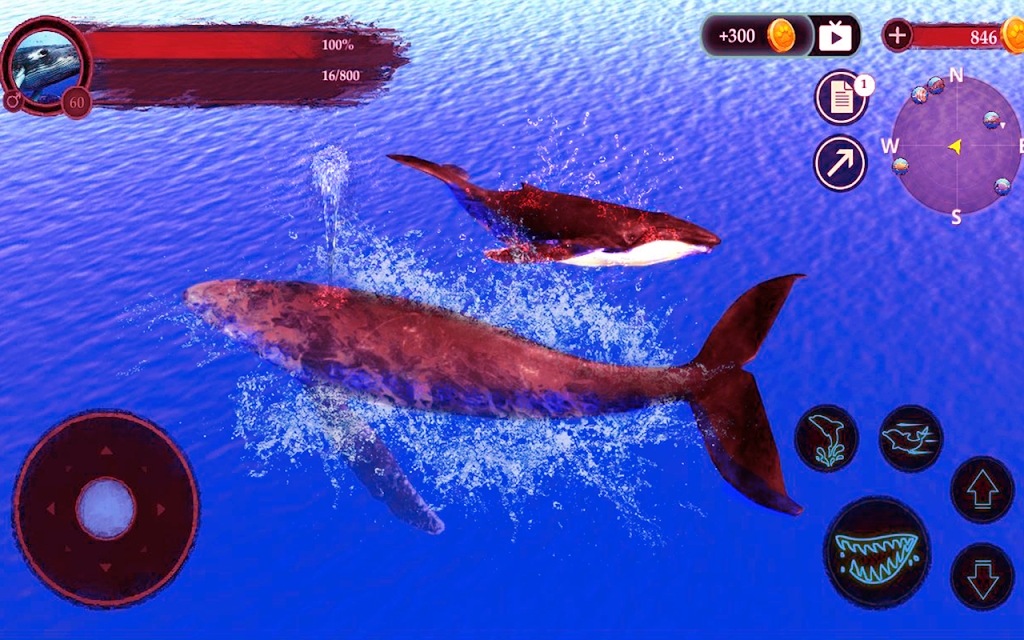 模拟座头鲸The Humpback Whales